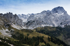 IMG_7940.jpg