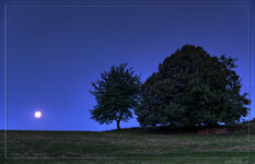 _DSC2286-HDR(2)_Default WEB.jpg