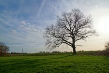 Hunderunde Felder Althagem 2968.JPG