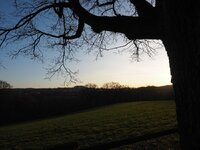 comp_P1120240.jpg