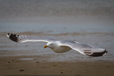 IMG_1280.jpg