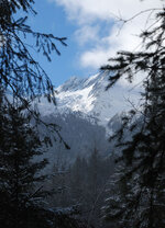 DSC_0029_b.jpg
