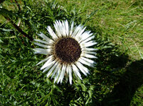2010_09020028.jpg