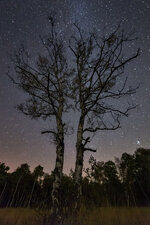 2013.10.02 22.51.41.jpg