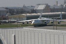 IMG_017509.JPG