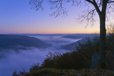 Nebel.jpg