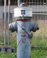 IMG_BST_UNI_P1616.jpg