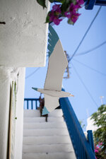 IMG_1293k.jpg