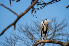 IMG_7846.jpg