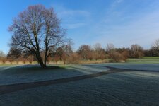 Sylvesterspaziergang 020.jpg