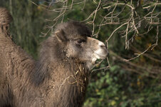 DSLR_KHA_7952.JPG