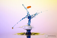DN_MG_3478_F.jpg