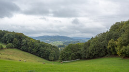 Odenwald 02.jpg