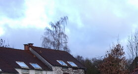 DSC00124.jpg