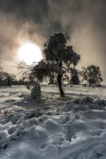 comp_9IMG_1497.jpg