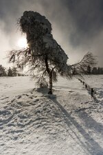 comp_9IMG_1505.jpg