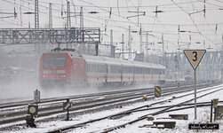 EOS 50D_00264_01_23_2014.jpg