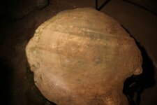 IMG_5697.jpg