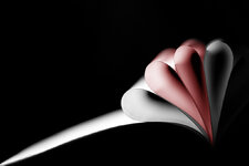 Stillleben-3898smallflipped.jpg