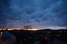 DSC_1271_1.jpg