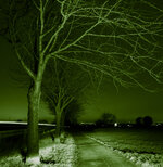 DSC04943-2.jpg