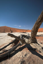 IMG_5441-01.jpg