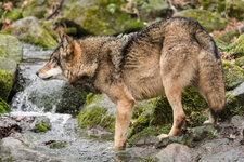140208_Zoo_Münster-24.jpg