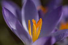 DSC_2117.jpg