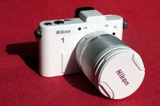 Nikon-IMG_3873.jpg