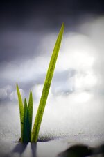 IMG_0337.jpg