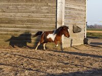 IMG_7684.jpg