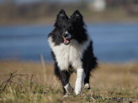 _A000232_DxO.jpg