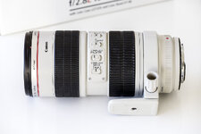canon_70_200_mm_Z6B9076_kl.jpg