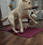 _2080119.jpg