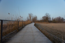 IMG_6075.jpg