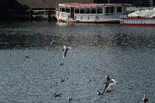 IMG_0318-N-2--.jpg