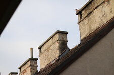 IMG_5447.JPG
