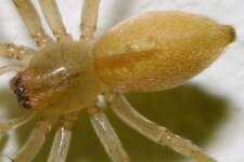 TM2B1410_Crop.JPG