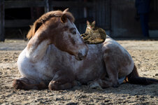 20130403_18_38_44_0001.jpg