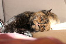 IMG_0008 Kopie.jpg