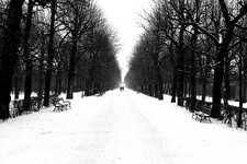 Schönbrunn_sw Kopie.jpg