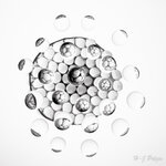 Tropfen-31008.JPG