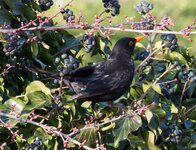 IMG_7972.jpg