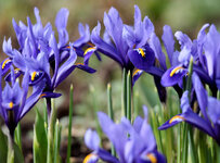 IMG_4902_DSLR.jpg