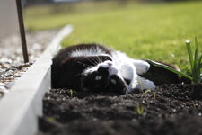 EOS 50D_01374_02_24_2014.JPG