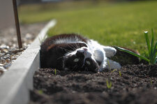 EOS 50D_01374_02_24_2014.jpg