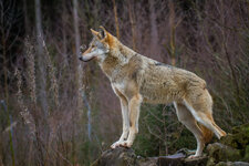 20140218-MF-IMG_4425.jpg