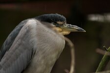 TOP_klein_IMG_0403.jpg
