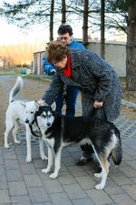 70D_comp_IMG_2232.jpg