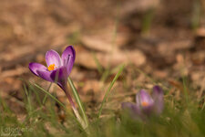 IMG_6569.jpg